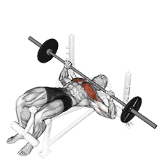 Decline Bench Press demonstration