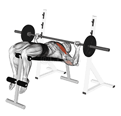 Decline Wide-grip Press demonstration