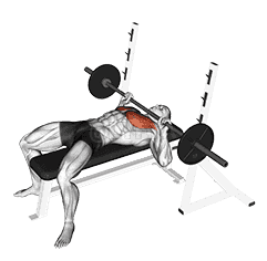 Barbell Guillotine Bench Press demonstration