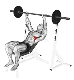 Barbell Incline Shoulder Raise demonstration