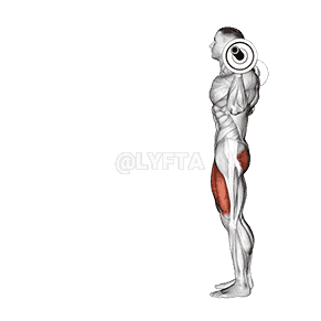 Lunge demonstration