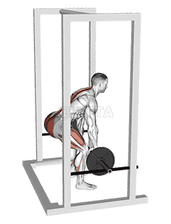 Barbell Rack Pull demonstration