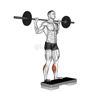 Standing Leg Calf Raise demonstration