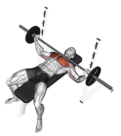 Barbell Wide Bench Press demonstration
