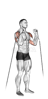 Cable Alternate Shoulder Press demonstration