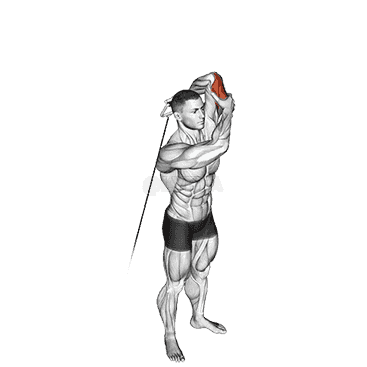 Alternate Triceps Extension demonstration