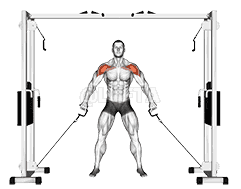 Front Shoulder Raise demonstration