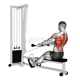Cable Low Seated Row demonstration