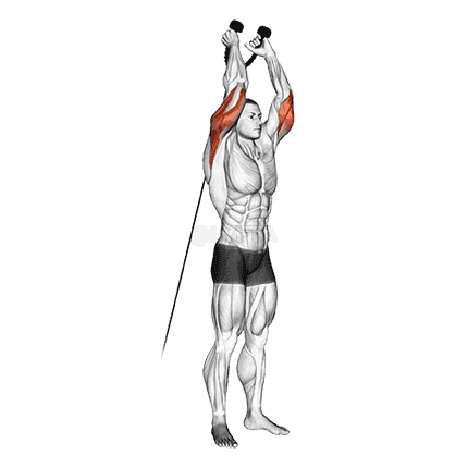 Cable Overhead Triceps Extension demonstration