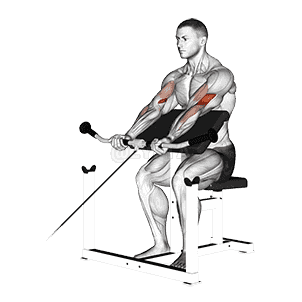 Cable Preacher Curl demonstration