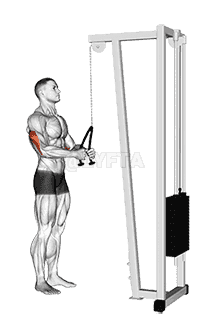 Cable Pushdown demonstration