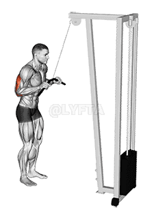 Cable Pushdown demonstration