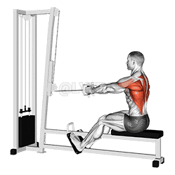 Cable Straight Back Seated Row demonstration