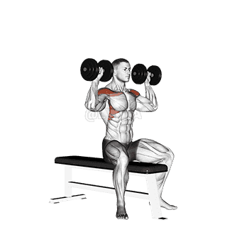 Dumbbell Bench Seated Press demonstration