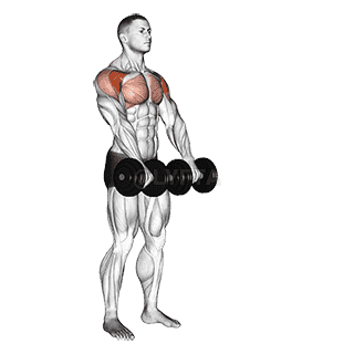 Dumbbell Front Raise demonstration