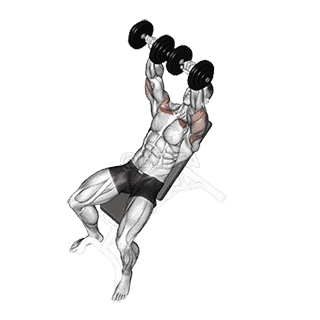 Dumbbell Incline Bench Press demonstration