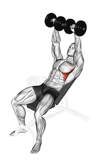 Dumbbell Incline Shoulder Raise demonstration