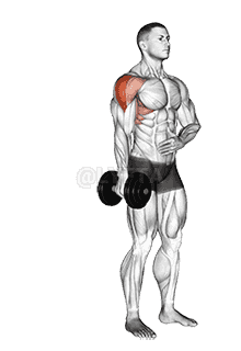Dumbbell One Arm Lateral Raise demonstration
