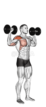 Dumbbell One Arm Shoulder Press demonstration