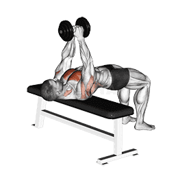 Dumbbell Pullover demonstration