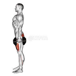 Rear Lunge demonstration