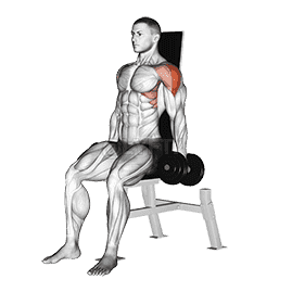 Seated Lateral Raise demonstration