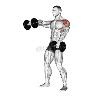 Standing Alternate Raise demonstration