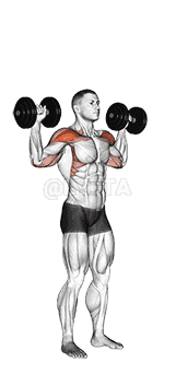 Dumbbell Standing Overhead Press demonstration