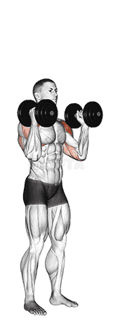 Dumbbell Standing Palms In Press demonstration
