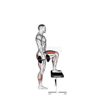 Dumbbell Step-up demonstration