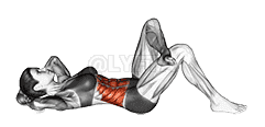 Hand Opposite Knee Crunch demonstration