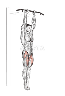 Hanging Straight Leg Raise demonstration