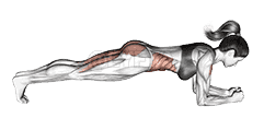 Hip Raise Bridge demonstration