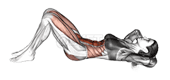 Hip Raise Crunch demonstration