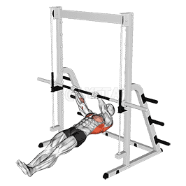 Inverted Row demonstration
