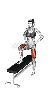 Lateral Step-up demonstration