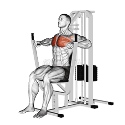 Lever Chest Press demonstration