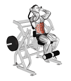 Lever Seated Leg Raise Crunch demonstration