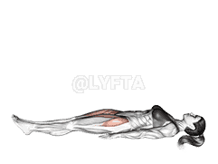 Lying Hip Straight Leg Raise demonstration