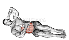 Oblique Crunches Floor demonstration