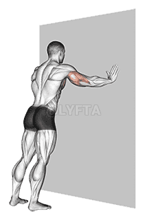 Push-up demonstration