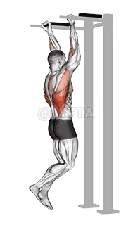 Reverse grip Pull-up demonstration