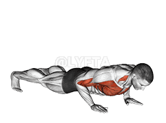 Shoulder Tap Push-up demonstration