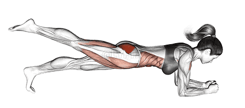 Single Leg Bridge demonstration