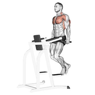 Triceps Dip demonstration