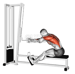 seated row demonstration