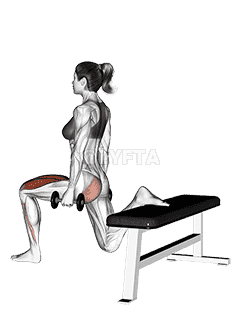 Dumbbell one leg squat demonstration