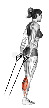 Band calf raise demonstration