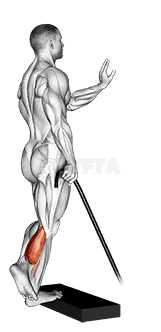 Band single leg calf raise demonstration