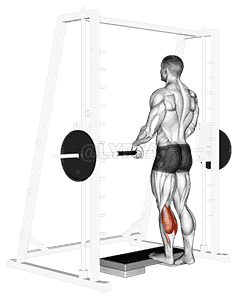 Smith Calf Raise demonstration